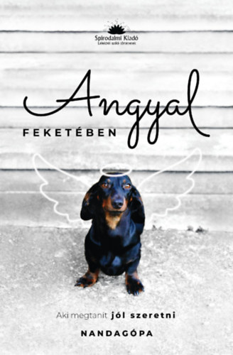 Dr. Schnek Zoltn Istvn - Angyal feketben
