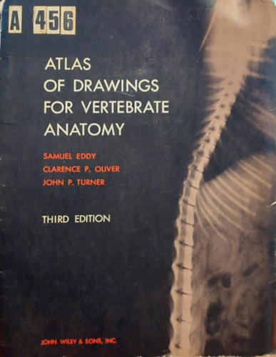 Homeop�tia �s a r�k ( Egy lehets�ges megk�zel�t�s )