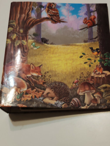 �tmutat� gy�jt�knek "Erdei kaland" �lm�ny-k�rty�idoz