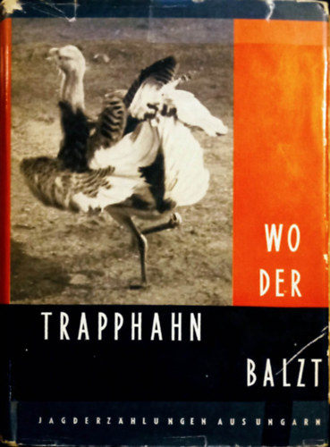 Wo der trapphahn Balzt - Jagderzahlungen aus Ungarn