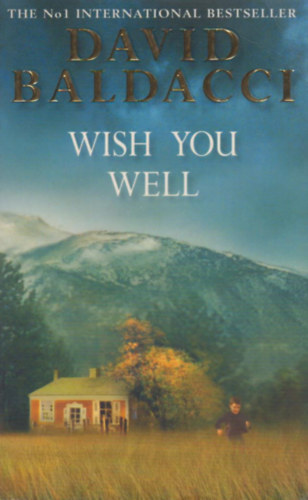 David Baldacci - Wish you well