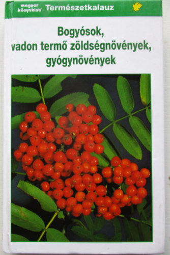 Bogysok, vadon term zldsgnvnyek, gygynvnyek