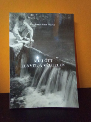 Miel�tt elnyel a v�gtelen (pr�zai �r�sok �s versek)