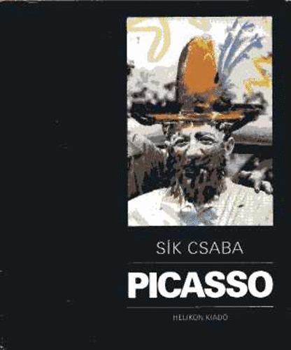Sk  Csaba - Picasso