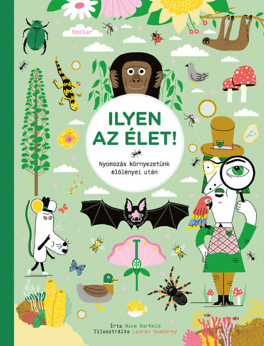 Ilyen az let!