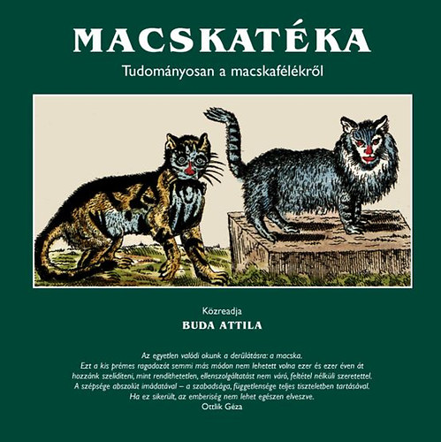 Buda Attila - Macskatka - Tudomnyosan a macskaflkrl