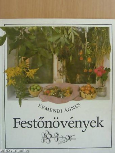 Festnvnyek