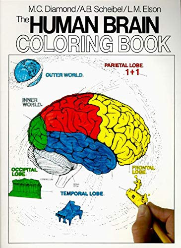 A. B. Scheibel, L. M. Elson M. C. Diamond - The Human Brain Coloring Book