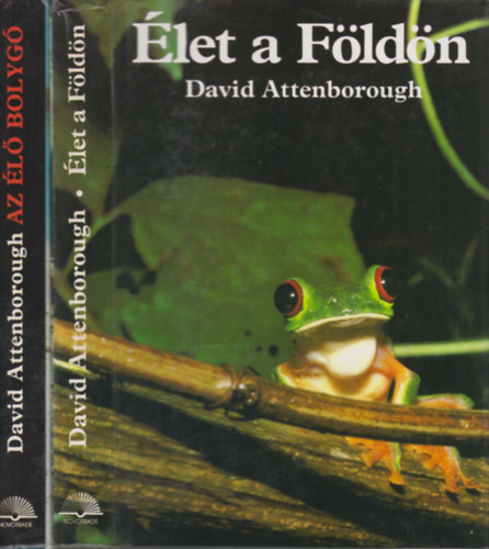 Az l bolyg + let a Fldn (2 m)