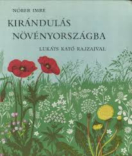Kirnduls nvnyorszgba