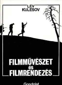 Filmmvszet s filmrendezs
