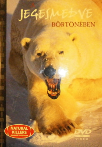 Imp - A jegesmedve brtnben