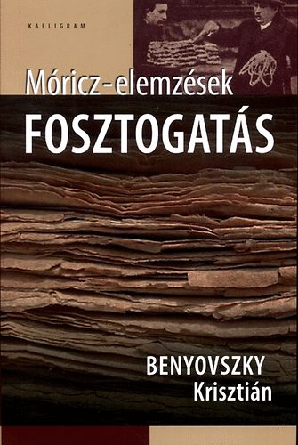 Benyovszky Krisztin - Fosztogats - Mricz-elemzsek