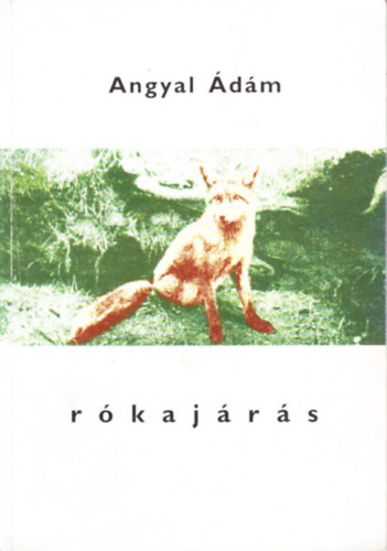 Angyal dm - Rkajrs