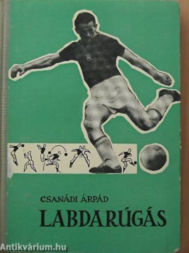 Labdargs III. - Az edzs
