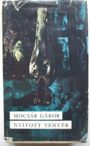 Nyitott teny�r