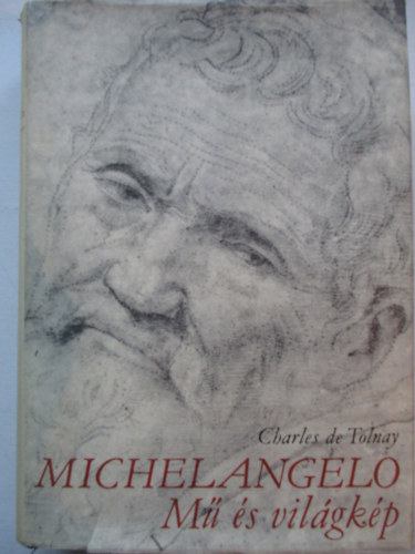 Michelangelo  M s vilgkp