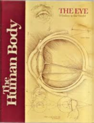 Eye, Window to the World (Human Body Series)