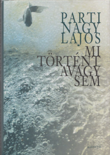 Mi trtnt avagy sem