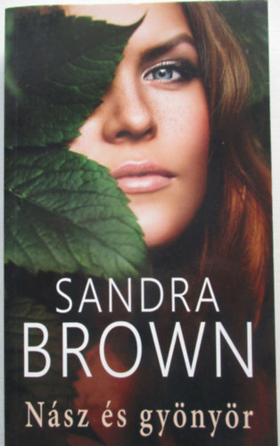 Sandra Brown - Nsz s gynyr
