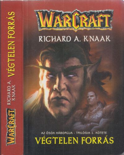 Richard A. Knaak - Vgtelen forrs - WarCraft