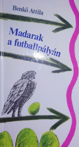 Madarak a futballplyn