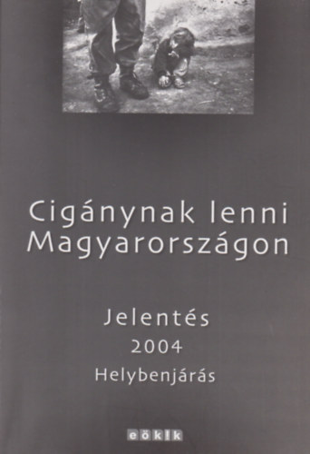 Cignynak lenni Magyarorszgon - Jelents 2004