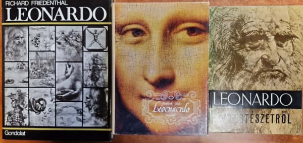 3db Leonardo k�nyv:Leonardo+Leonardo+A fest�szetr�l