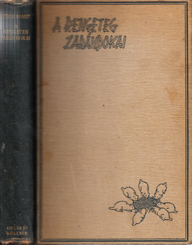 A rengeteg zarndokai (Dr. Baktay Ervin fordtsa)