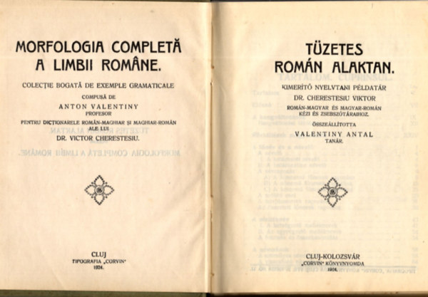 Tzetes romn alaktan (Kimert nyelvtani pldatr)