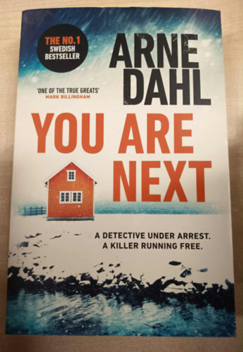 Arne Dahl - You Are Next