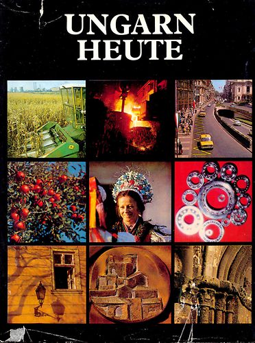 Ungarn heute