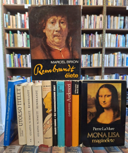 10 db �letrajzi m� 11 k�tetben, K�NYVMENT� AJ�NLAT: Mona Lisa mag�n�lete, Renoir �lete, A velencei Tiziano �lete, �g �s F�ld k�z�tt, �lt harminch�rom �vet, Moulin Rouge, Rembrandt I-II. Utols� �t�let, Pieter Bruegel szenved�lyes