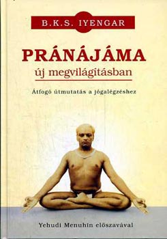 Prnjma j megvilgtsban - tfog tmutats a jgalgzshez