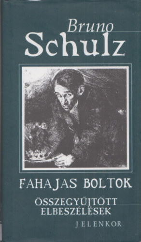 Bruno Schulz - Fahajas boltok