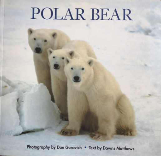 Dan, Matthews, Downs Guravich - Polar Bear - jegesmedve