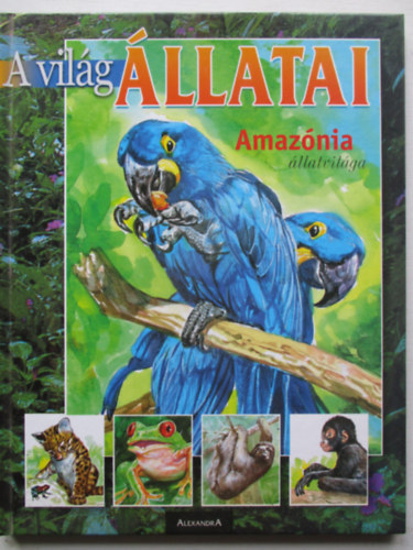 A vilg llatai: Amaznia llatvilga
