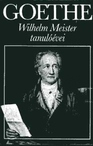 Wilhelm Meister tanulvei