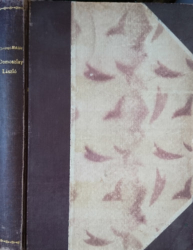 Domoszlay Lszl