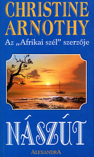 Nszt