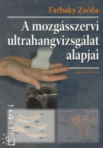 A mozgsszervi ultrahangvizsglat alapjai