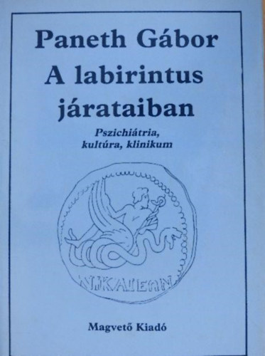 A labirintus jrataiban  -  Pszichitria, kultra, klinikum - Szerkeszt: Zsmboki Mria
