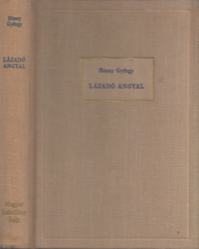 Lzad angyal