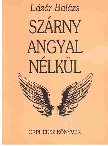 Lzr Balzs - Szrny angyal nlkl