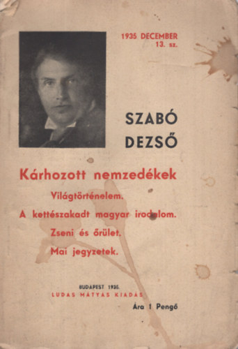 Krhozott nemzedkek (Vilgtrtnelem - A kettszakadt magyar irodalom - Zseni s rlet - Mai jegyzetek)- Ludas Mtys fzetek 13.