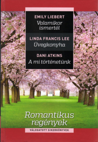 Valamikor ismertl - vegkonyha - A mi trtnetnk (Reader's Digest vlogatott sikerknyvek - Romantikus regnyek)