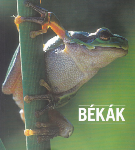 Bkk