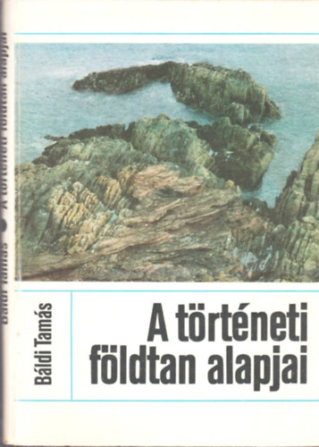 A trtneti fldtan alapjai