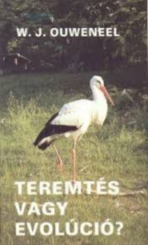 Teremt�s vagy Evoluci�?