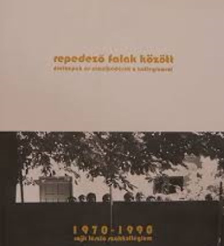 Repedez falak kztt - Elmlkedsek s letkpek a kollgiumrl 1970-1990 (Rajk Lszl szakkollgium)
